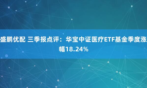 盛鹏优配 三季报点评：华宝中证医疗ETF基金季度涨幅18.24%