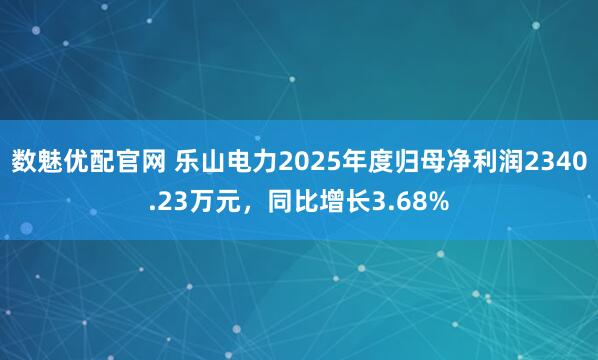 数魅优配官网 乐山电力2025年度归母净利润2340.23万元，同比增长3.68%